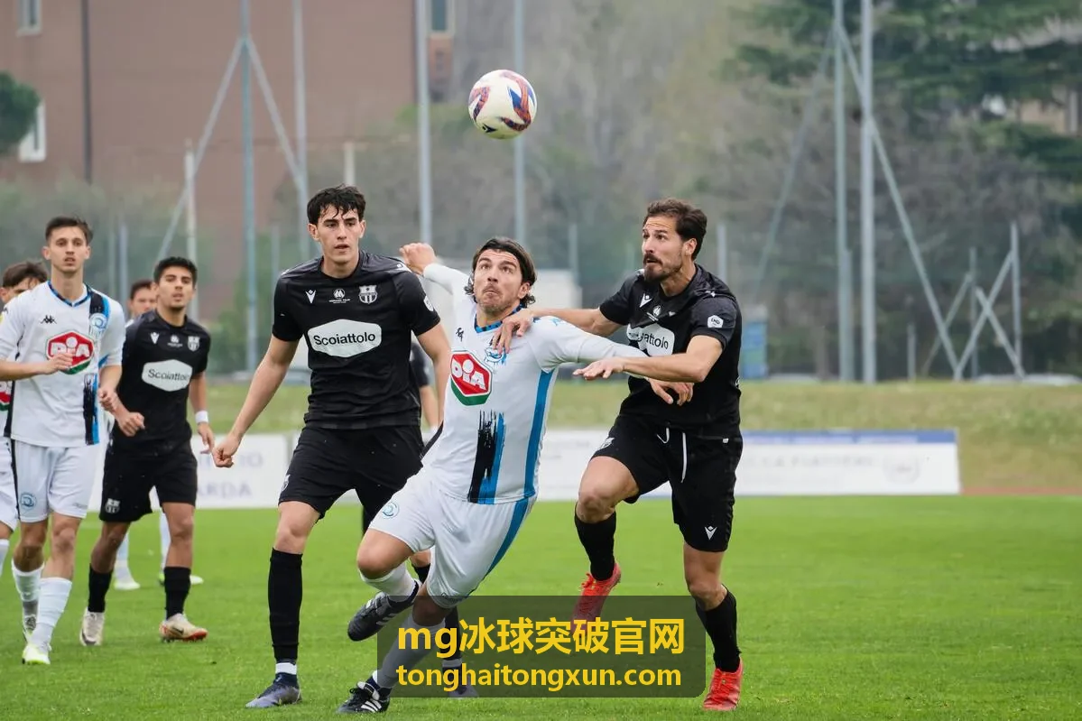 mg冰球突破官网赛事记录的场地全景画面